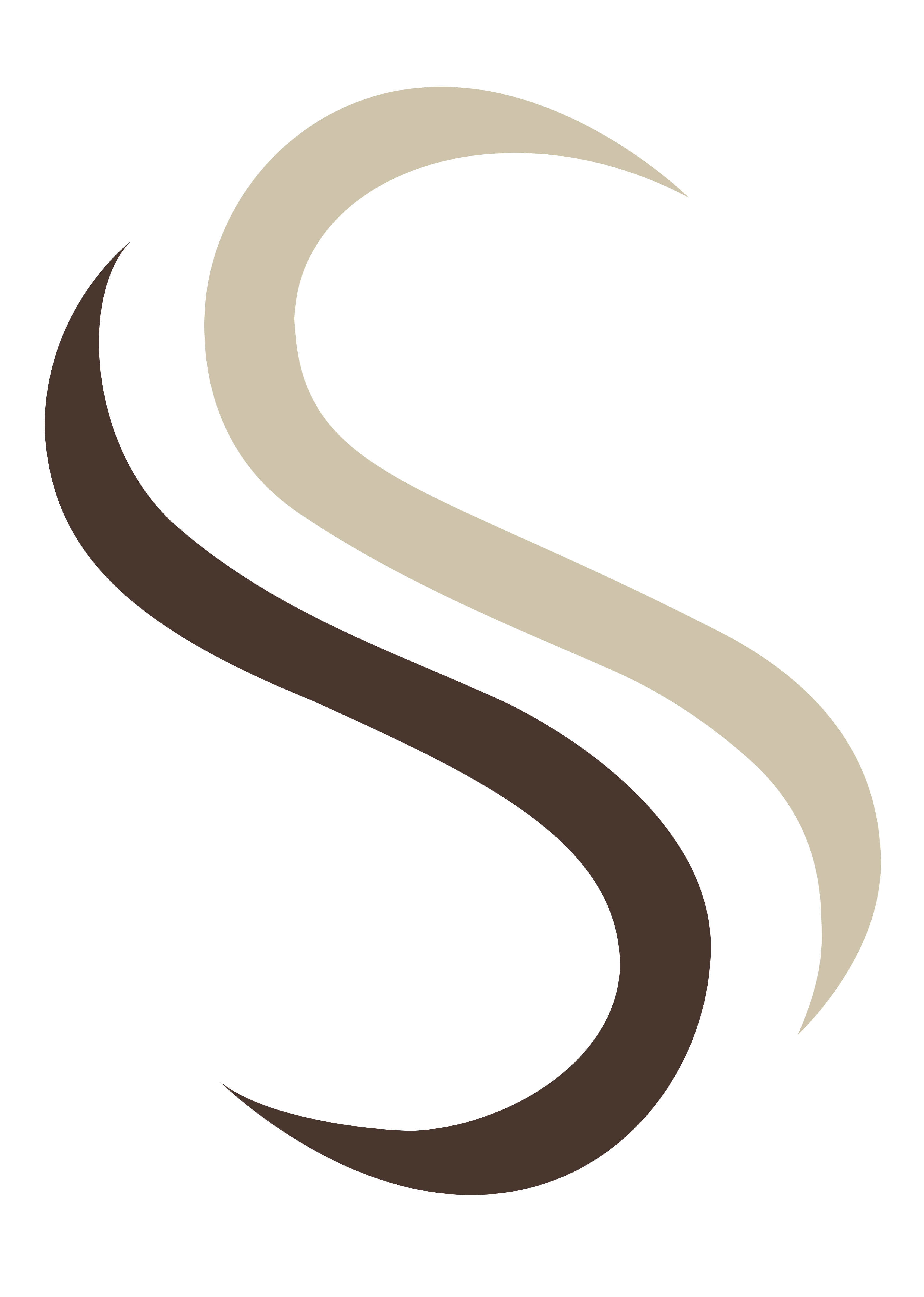 Silvana Silva Advocacia